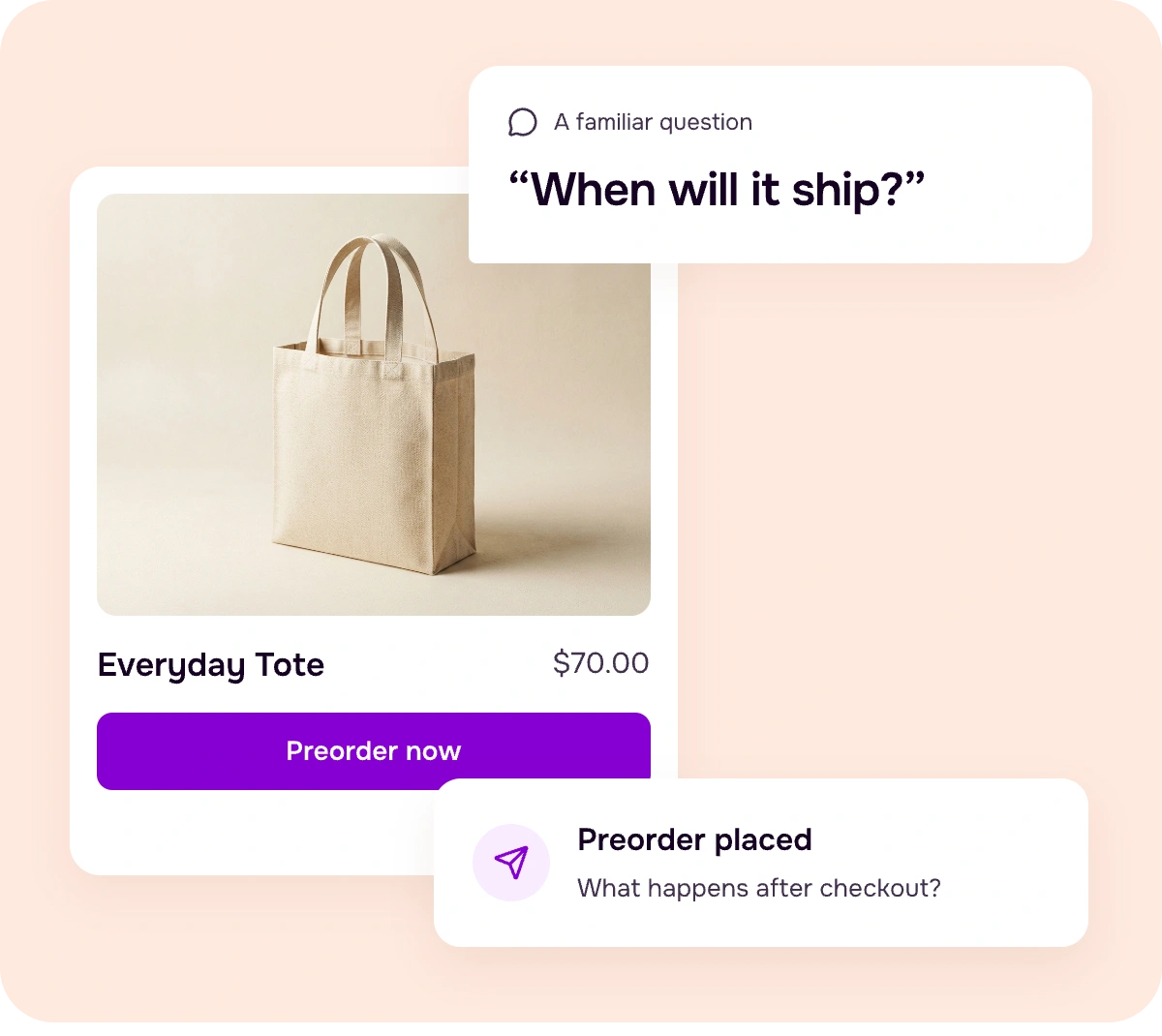 Preorder product example — Everyday Tote available for preorder, with a customer asking when it will ship and a placed preorder confirmation